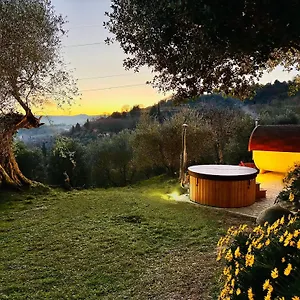 Montebello Degli Olivi Chiusi